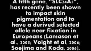 The Genetics of Skin Color Is Pale Skin Related to Albinism [upl. by Mcdonald]