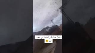 Invasion des criquets dans la ville de Tiaret غزو الجراد في مدينة تيارت يوم 17102024 [upl. by Shelba]