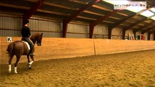 Dressage Exercise  HalfPass [upl. by Ecnarretal]