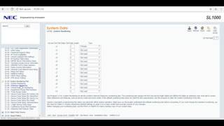 NEC SL1000 Setup [upl. by Laurella]