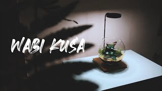 WABI KUSA  a step by step tutorial [upl. by Tingley]