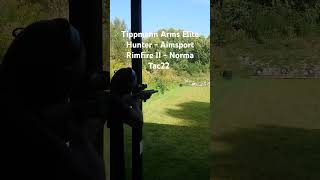 Tippmann Arms Elite Hunter  Aimsport Rimfire II  Norma Tac22 [upl. by Aicirpac]