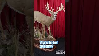 What’s the best taxidermy deerhunting deer deerhunter hunting [upl. by Eeneg105]