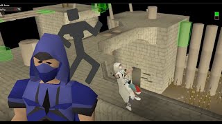 Brimhaven Agility Arena Guide OSRS [upl. by Wiburg939]