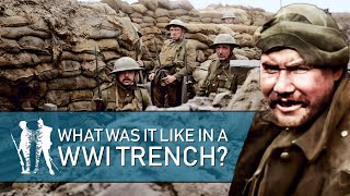 24 Hrs In The Trenches WW1 Documentary [upl. by Virgina]