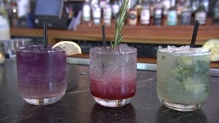 Top 6 Best mocktails in Philadelphia area  part 2 [upl. by Alym888]