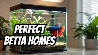 The Best Betta Tanks and Why You Need One [upl. by Tavie]