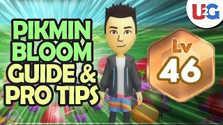 Pikmin Bloom Pro Tips F2P Guide TIMESTAMPS  Im lv46 [upl. by Ayim]