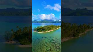 Swimming with sharks in Mo’orea Tahiti tahiti frenchpolynesia sharks islandlife [upl. by Ocinom843]