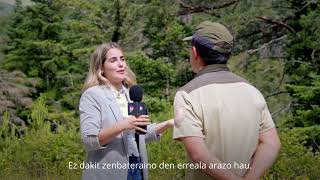 Decaimiento forestal en los Pirineos  Basoen gainbehera Pirinioetan [upl. by Nosaes]