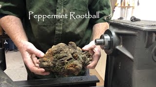 What can I make out of this root ball [upl. by Rangel]