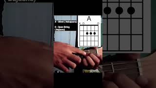 Chord Diagram Kasari Bajaune   Guitar Lesson chorddiagram chordpadne [upl. by Dazhehs]