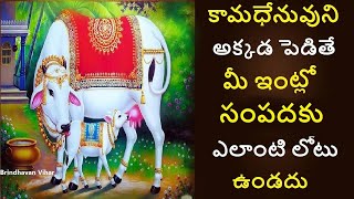 Importance of Kamadhenu at Home Gomata Pooja Devotional Story  కామధేను విశిష్టత Brindhavan Vihar [upl. by Larok893]