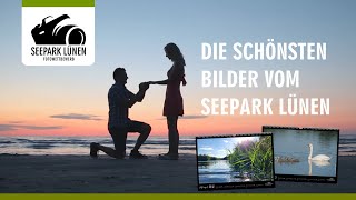 Fotowettbewerb Seepark Lünen  Die schönste Bilder werden gesucht [upl. by Hodges]