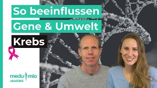 Krebsentstehung Einfluss der Gene und der Umwelt 📊 Jan Kielmann amp Stefanie Baumann [upl. by Aicilyt]