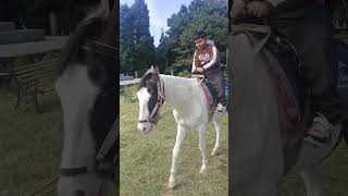 Delo park horse riding littlechamps [upl. by Sixel]