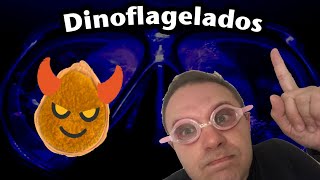 Dinoflagelados  o terror do aquário marinho  como eliminar essa praga [upl. by Daberath82]