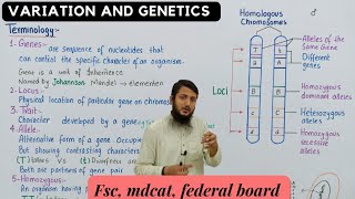 genes alleles and gene pool class 12 [upl. by Ylaek]