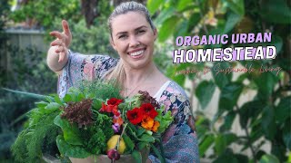 Organic Edible Garden Tour  Self Sufficient Living Australia  My Urban Permaculture Garden [upl. by Eileme987]