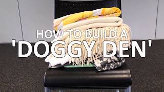 How to build a keep calm quotDoggy Denquot for Fireworks Night with Dogs Trust [upl. by Eirellam]