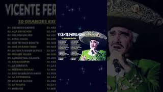 VICENTE FERNANDEZ GRANDES EXITOS  VICENTE FERNANDEZ SUS MEJORES EXITOS [upl. by Christiano825]