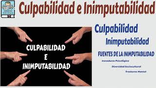 Culpabilidad e Inimputabilidad  Derecho Penal [upl. by Ecirtnahs299]