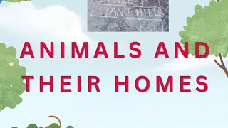 Animals and their homes  kids games  daily warmups  Animals and their shelters  animals houses [upl. by Nylram]