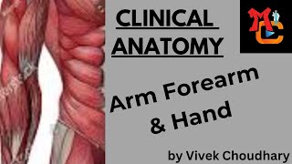 Arm Forearm amp Hand Clinical anatomy anatomy medicine [upl. by Aihsa878]