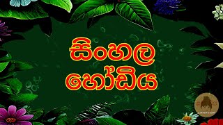 සිංහල අකුරු ඉගෙන ගනිමු  Sinhala Alphabet  Sinhala හෝඩිය  Akuru Hodiya [upl. by Selrac326]