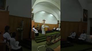 SSPX Catholic Church Pinelands 2024 05 26 [upl. by Naldo]