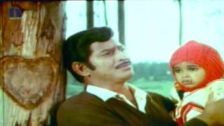 Vennelaina Cheekataina Video Song  Pachani Kapuram Movie  Krishna Sridevi [upl. by Rie826]