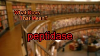 What does peptidase mean [upl. by Larue]