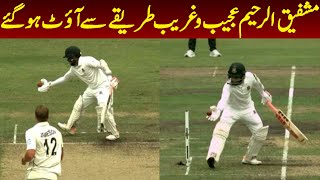 No catch no LBW no bold Mushfiqur Rahims Bizarre Handling The Ball Dismissal  Apex Sports [upl. by Asilanom]