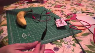 Makey Makey Banana as space key [upl. by Eeslehc]