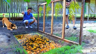 TINY MUD PONDS Releasing amp producing thousands of Livebearer fish Secrets revealed in Hydroponics [upl. by Allerim352]