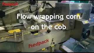 Redpack P325E T Trayless bottom seal flow wrap machine packing corn on the cob [upl. by Neelrac]