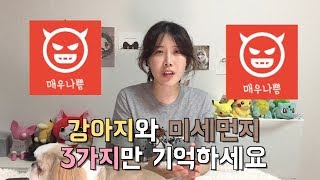 멍멍이와 미세먼지 1편 미세먼지 때문에 반려견과 산책 포기하려고요 [upl. by Ettedualc]