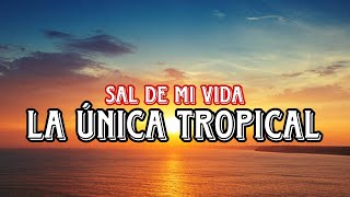 La Única Tropical  SAL DE MI VIDA letra LUIS MORENO CON CLASE [upl. by Crispin]