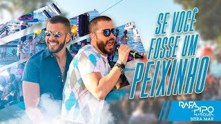 Se Você Fosse Um Peixinho  Rafa e Pipo Marques [upl. by Eintrok]