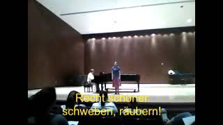 Johannes Brahms  Feldeinsamkeit Misheard Lyrics [upl. by Chui485]