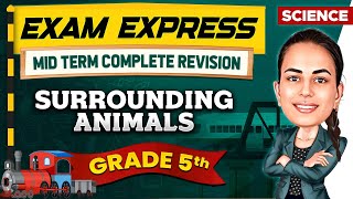 Surrounding Animals  Mid Term Revision For Grade 5  Exam Express [upl. by Peery97]