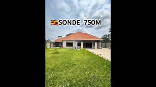 4 BEDROOM BUNGALOW ON SALE AT SONDE 750M UGXproperty realestate uganda viralvideo  ntvuganda [upl. by Neerehs810]