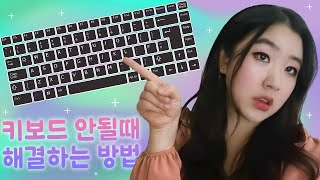 컴퓨터 노트북 키보드 안될때 해결하는 방법 💜 키보드 자판 오류 잠금 해제 고장 💻 키보드 입력 안됨 안눌림 먹통 연결 타자가 안쳐질때 잘 안눌릴때 [upl. by Lorenza476]