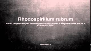 Medical vocabulary What does Rhodospirillum rubrum mean [upl. by Pare]