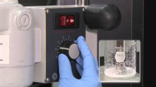 Foaming Capacity and Stability Lab Demo [upl. by Weisbart258]