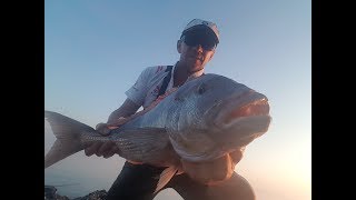 Shore Jigging  Black Minnow vs DENTEX  ΣΥΝΑΓΡΙΔΑ  LIVE STRIKE [upl. by Brenner305]