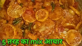 Amla Amrak Adrak Hari Mirch Nimbu Ka Mix Achar  5 Tarike Ka Mix Achar  Mix Achar Recipe [upl. by Lunseth530]