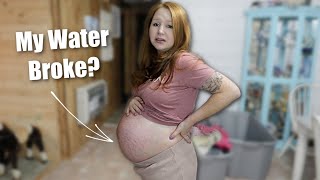 Early Signs of Labor watch till the end 38 Weeks Pregnancy Update  Urge to Push Water Breaks [upl. by Ahsaercal]