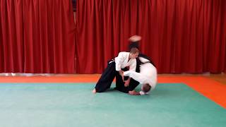 Tachi waza Ai hanmi katate dori Kokyu nage [upl. by Cath]