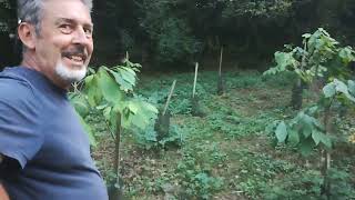 verger et forêt comestible dans les Pyrénées [upl. by Riane]